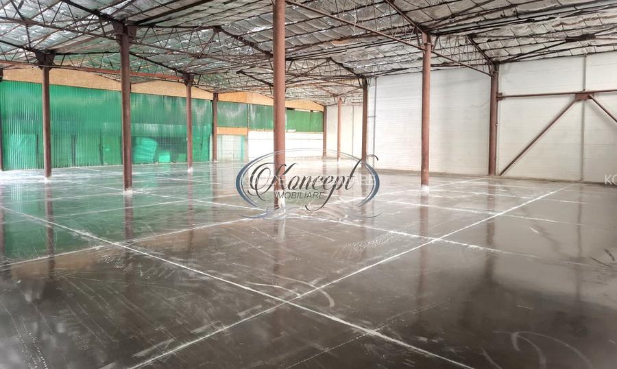 Hala ideala pentru productie sau logistica, pe Calea Baciului - 2