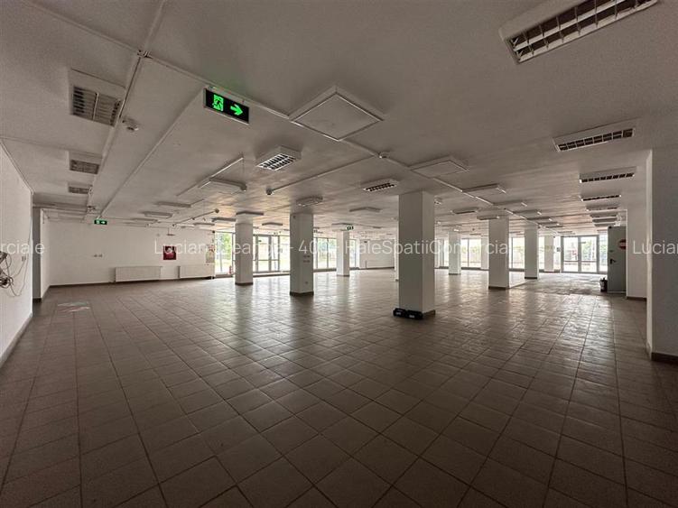 Hala, showroom sos. Pacurari Iasi, zona Mall Moldova, 1310mp - 3