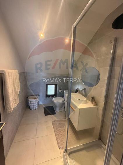 CASA DE VIS DE VANZARE IN COLTIREA cu 2900 mp teren - 16