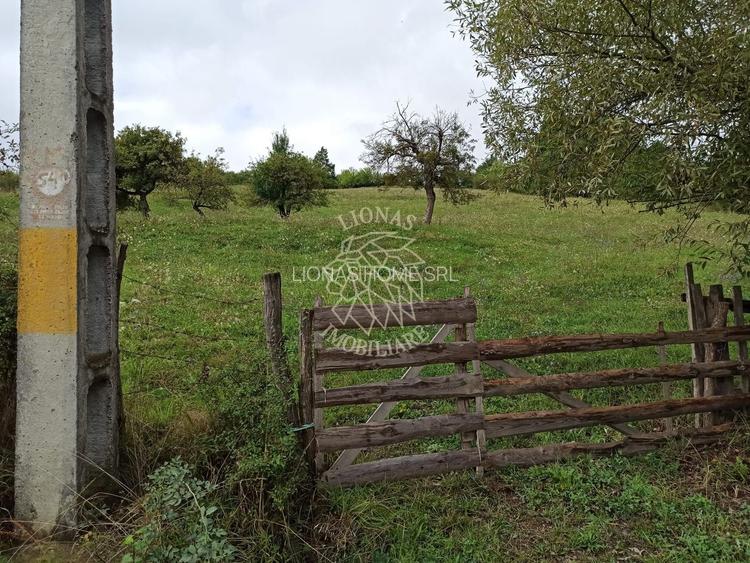 Teren intravilan 12600 mp-utilitati-ideal case, investitie-Livezile - 5