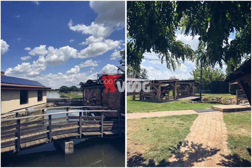 Oportunitate unică de investiție – Complex piscicol cu restaurant - 14