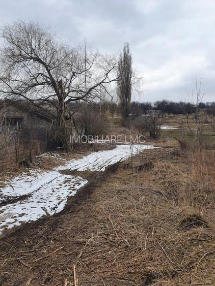 Teren Construcții extravilan de 10000 mp, în Bod - 11