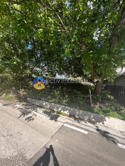 Teren investitie Turturesti-Girov - 3