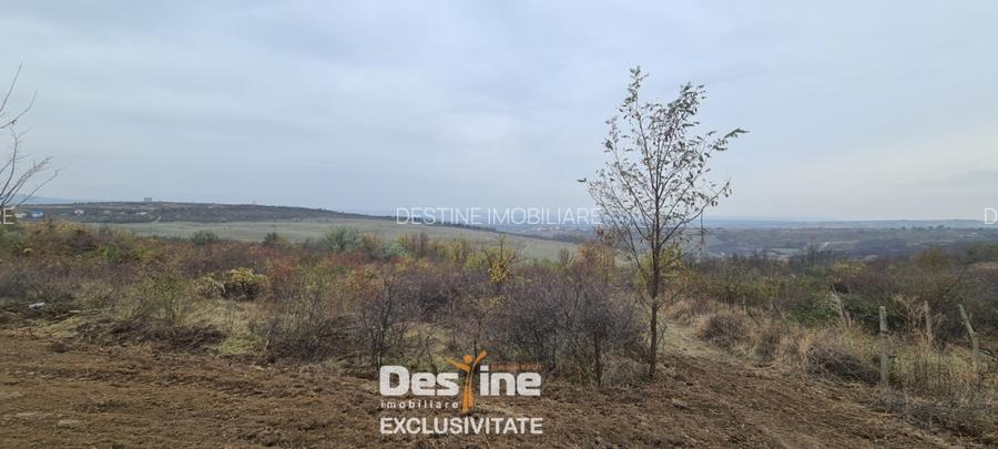 COMISION 0% CUMPARATOR - Teren intravilan 900 mp - Vișan, Barnova - 4