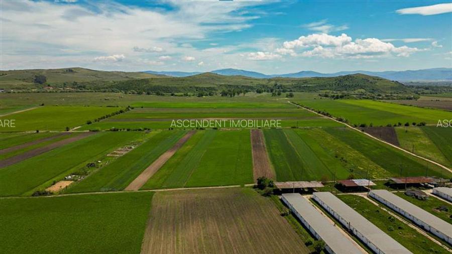 FILM! Teren extravilan 5.000 mp in zona linistita cu acces facil, Bod, Brasov. - 6