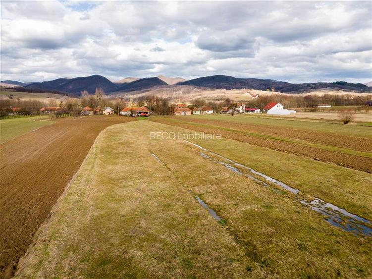 RECO , teren intravilan ,Zona Borod, Bihor - 3