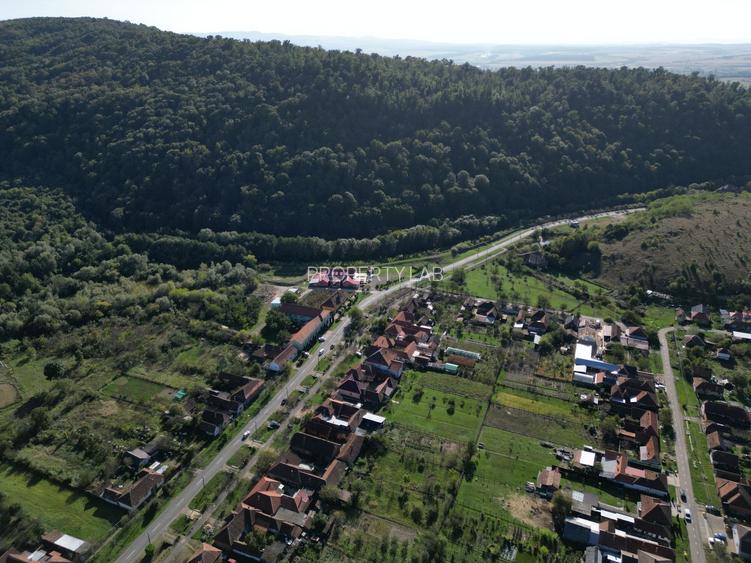 Sala de evenimente în inima naturii - 24