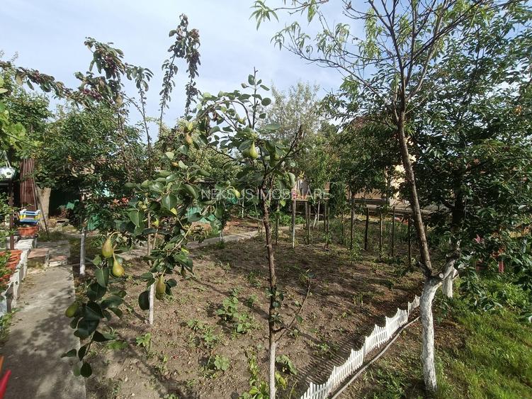 Casă de vanzare cu 4 camere 107 mpu pivnita anexe curte gradina Sebes - 17
