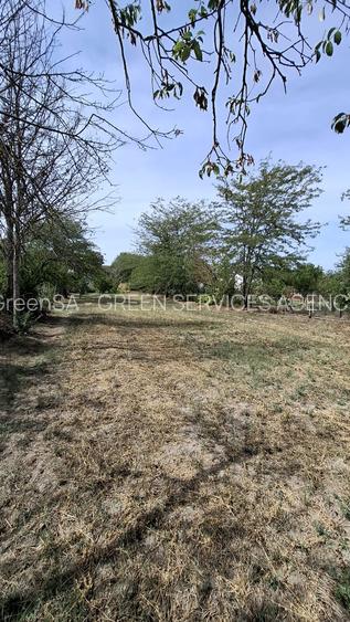 Stradal DN7, vila semifinisata, deschidere pe ambele capete - 10