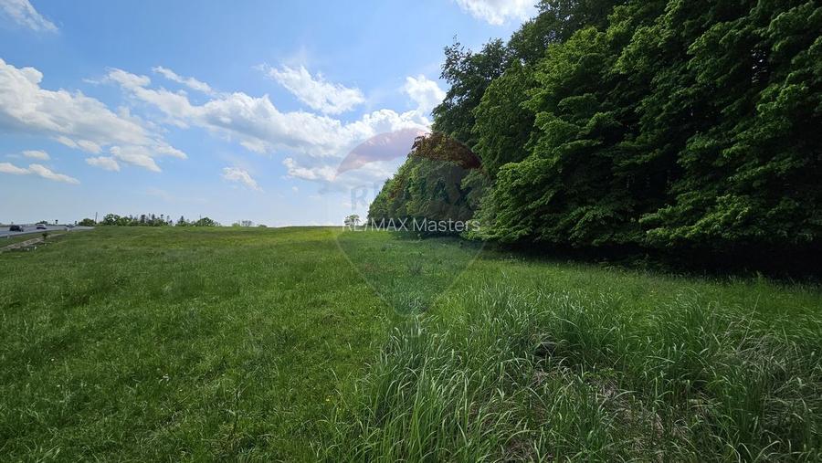 Teren Ilisesti  7000mp extravilan/ DN 17, Suceava - 8