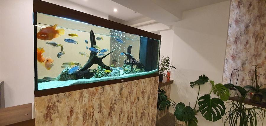 Apartament Baneasa/ Petrom City - 14