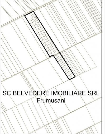 Frumusani-Pasarea '70 loturi cu drum intr-o zona in dezvoltare  - 9
