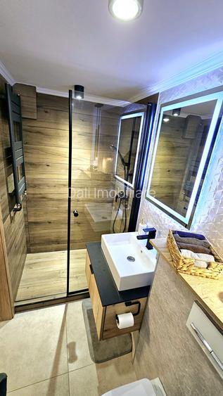 Vila/Casa de inchiriat Centru Civic - 10