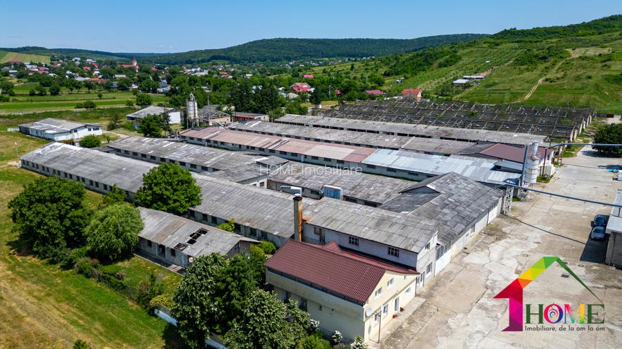Teren 100.000 mp + Spatii Industriale Bacau - 5