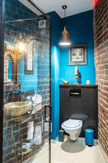 Pache Protopopescu | Casă 12 camere | Arhitectură deosebită - 37