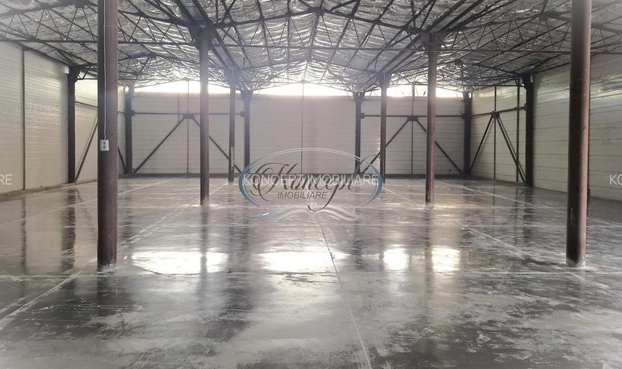 Hala ideala pentru productie sau logistica, pe Calea Baciului - 4