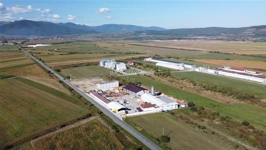 Oportunitate investiție prelucrare lemn, Cristian,jud.Sibiu - 2