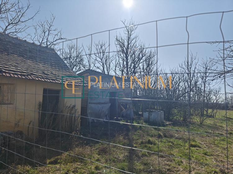 P4858 Casă bătrânească cu teren de 5.003mp, Cebza - 6