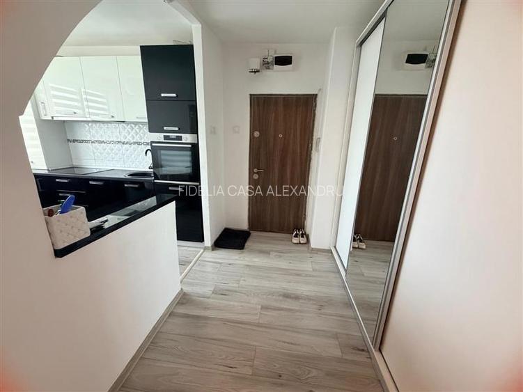 Apartament cu 3 camere decomandat Alexandru 74 mp - 23