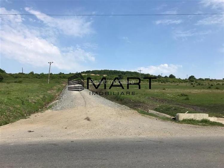 Teren 6,7 ha Dealul Daii langa Bavaria - 4