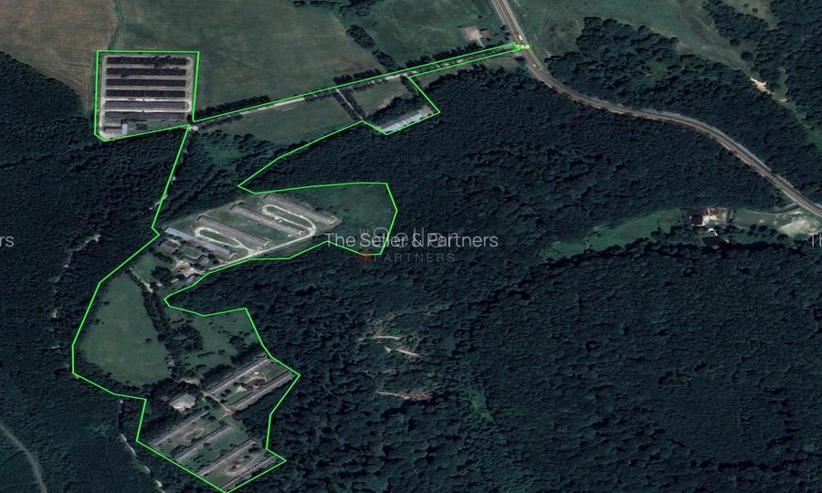 Teren Intravilan - Amplasare Unica - 6