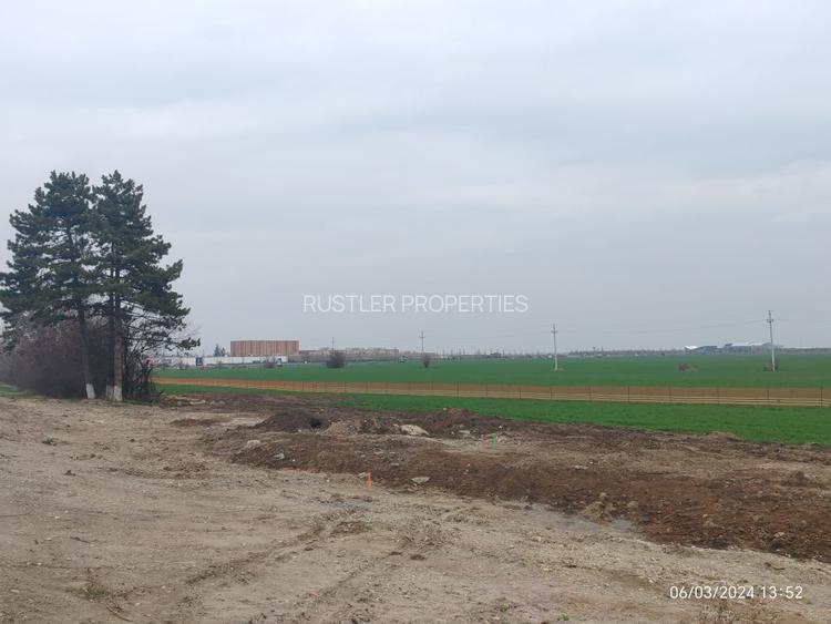 Descoperiti oportunitatea perfecta de investitie la Balotesti! - 3