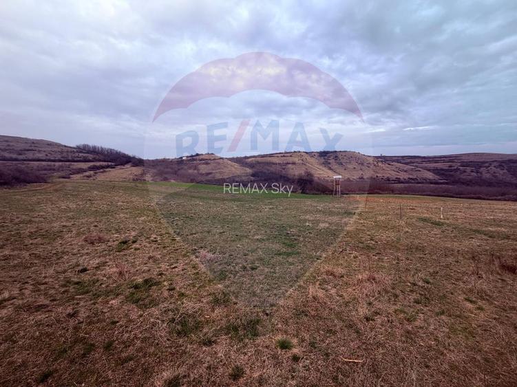 Teren generos 3400 mp în Pâclișa – Criseni zona linistita - 5