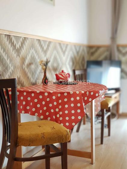 Apartament superb de închiriat – Strada Lăpușneanu - 2