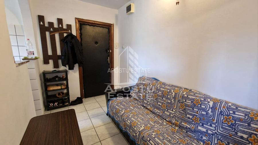Apartament decomandat cu 1 camera, etaj intermediar, zona Buziasului - 5