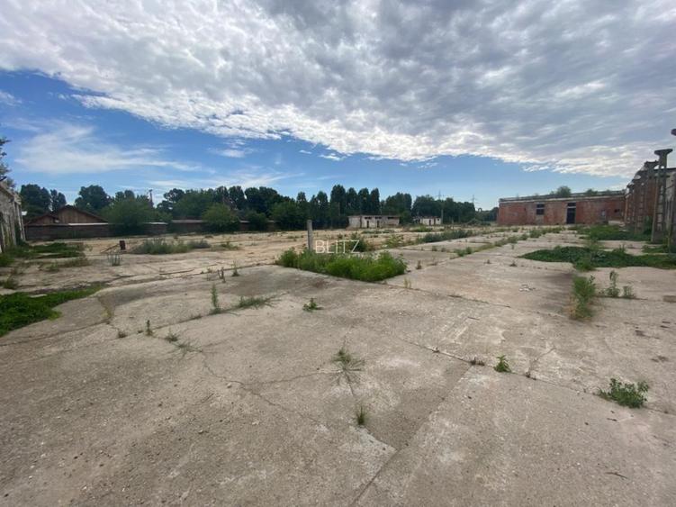 Hale 30000 mp, teren 65000 mp, acces la Centura de Sud II, zona Podari - 2