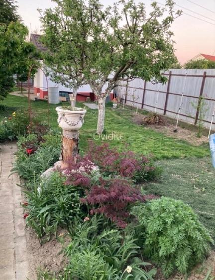 Casa -Vila  in Lilieci  Bacau - 13