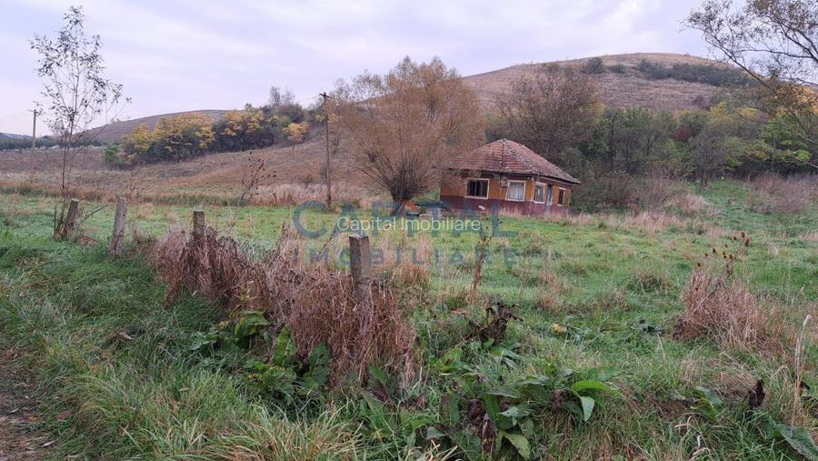 Teren plan 4800 mp cu casa demolabila, centru Corpadea, Apahida - 6