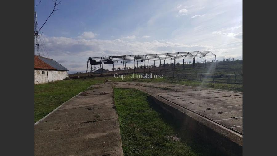 Ferma langa Oravita 5600 mp construiti si teren 24281 intravilan - 9