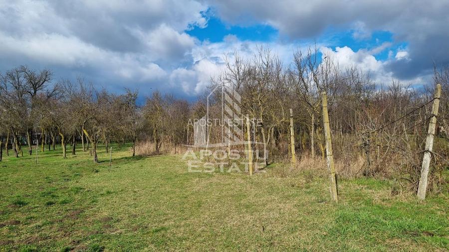 Casa individuala, teren 1750 mp, Zona: Sanandrei - 15