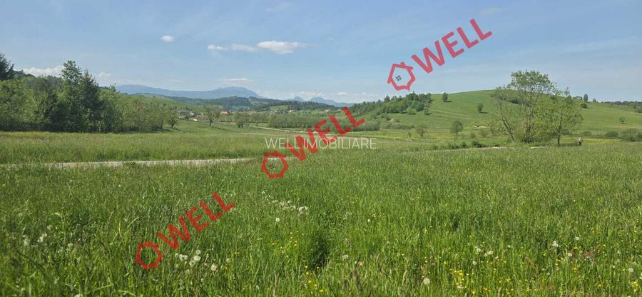 Teren de vânzare în Bărcani, pe strada Bisericii! - 3