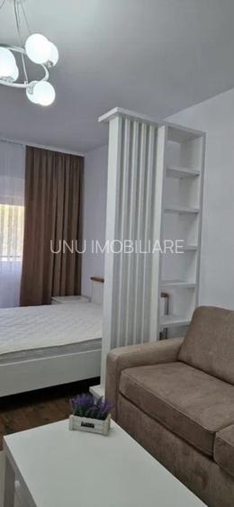 Apartament cu 1 camera - zona Tatarasi  - Complex Solumnia - 3