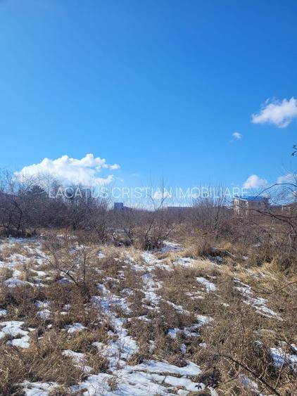 EXCLUSIVITATE! TEREN UNICAT 5831MP ZONA MAMAIA NORD - 5