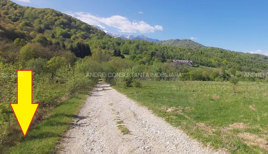 Vanzare 1266 mp teren superb Cheile Rasnoavei la munte langa padure si pensiuni - 11