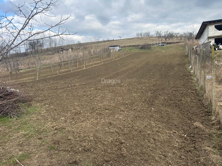 Teren intravilan 1724mp - 4