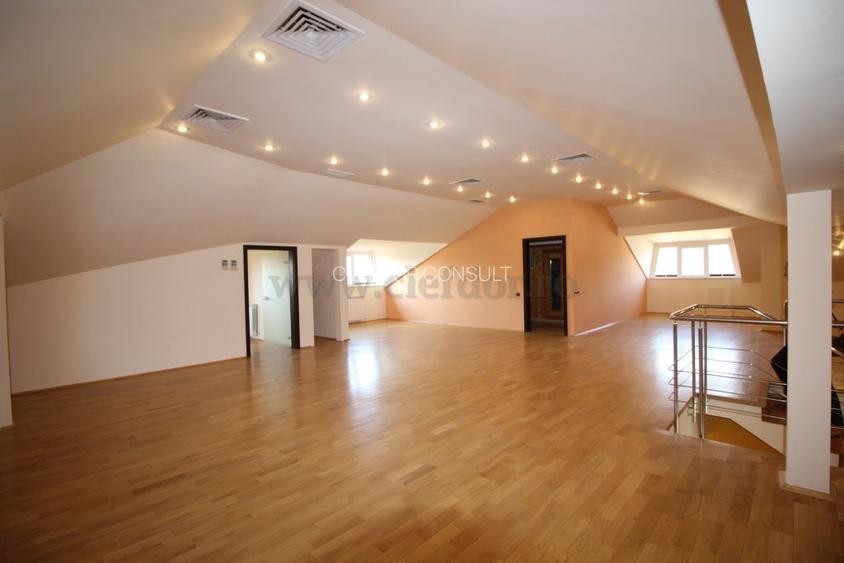 Vila Individuala de Inchiriat in Zona Iancu Nicolae - 12