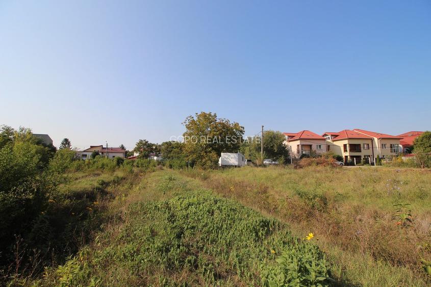 Teren 5963 mp deschidere lac Grivita 42 m cu deschidere la strazi 77 m - 8