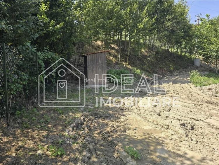Teren extravilan 2.300 mp – Cârțișoara, județul Sibiu - 6