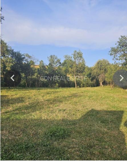 Casa de locuit 10 camere + 2479 mp teren, Loc. Izbuc, jud. Bihor - 11