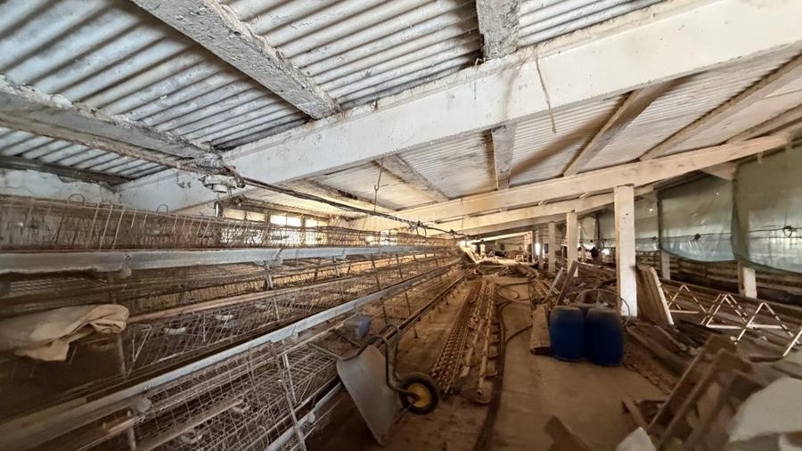 Hala industrială de vânzare în Beclean, Bistrița-Năsăud – 770 mp teren + cons - 3