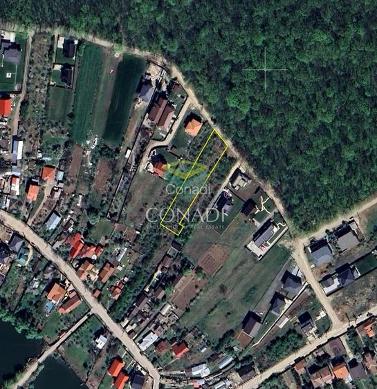 Teren || vis - a - vis de Padure - Balotesti || 2.000 mp - 7