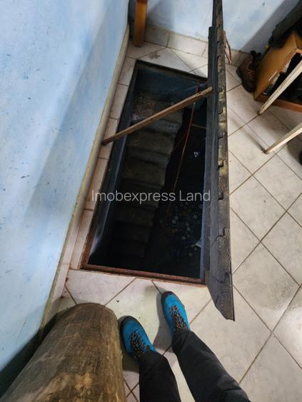 Comision zero vand casa noua la Biled - 4