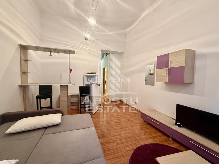 Apartament o camera, 30mp, balcon deschis, in Piata Victoriei - 2