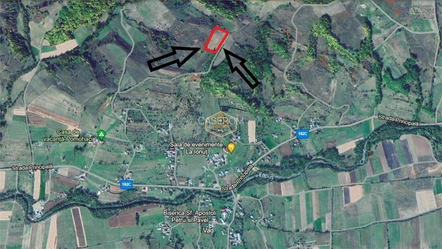 Teren de 9.500 mp in Maramures | Varf de deal, priveliste de pus in rama | Retre - 13