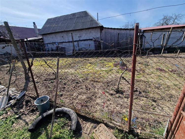 Teren mare cu 2 case in Sabolciu, com. Sacadat - 20