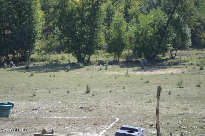 Bogati - Glimbocel, Ferma Zootehnica, Cladiri 1996 mp, Teren 4.89 ha - 17